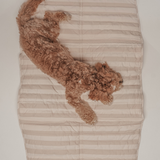 Summer Breeze Cooling Settle Mat Tote