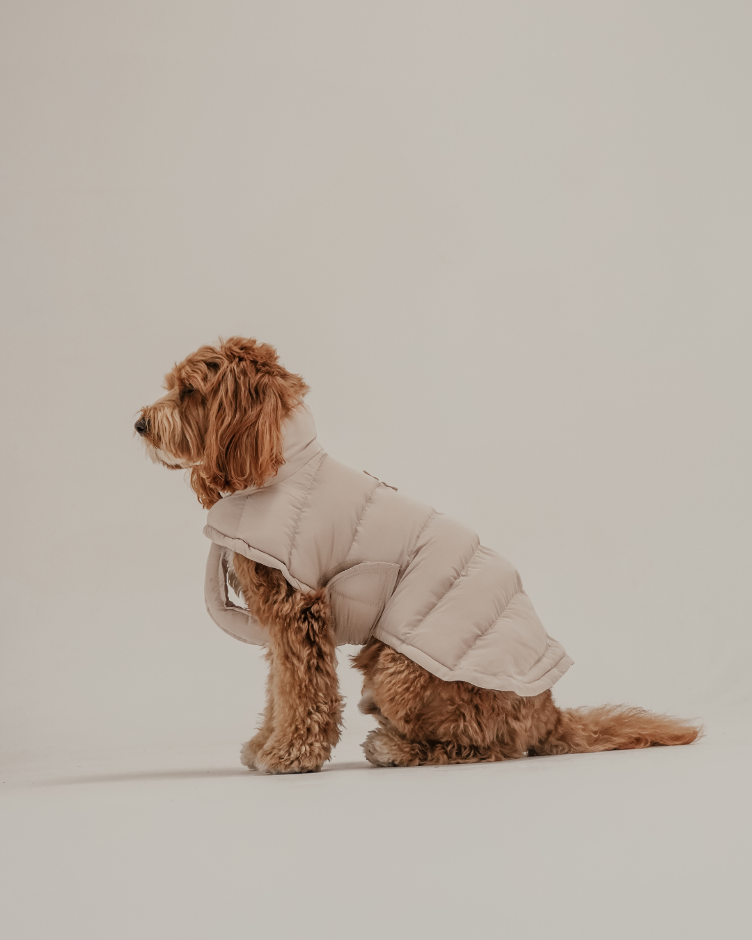 Hazelnut | The Capsule Puffer Coat