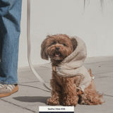 The Cosy Hoodie Harness