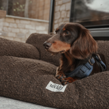Chocolate | The Teddington Sofa