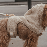 The Cosy Hoodie Harness