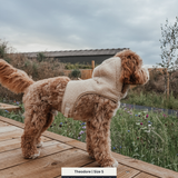 The Cosy Hoodie Harness