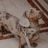 Haselnuss┃Studio-Kragen