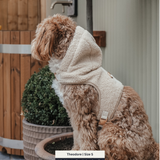 The Cosy Hoodie Harness