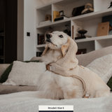 The Cosy Hoodie Harness
