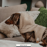 The Cosy Hoodie Harness