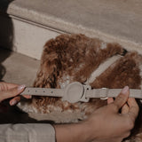 Haselnuss┃Studio-Kragen