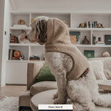 The Cosy Hoodie Harness