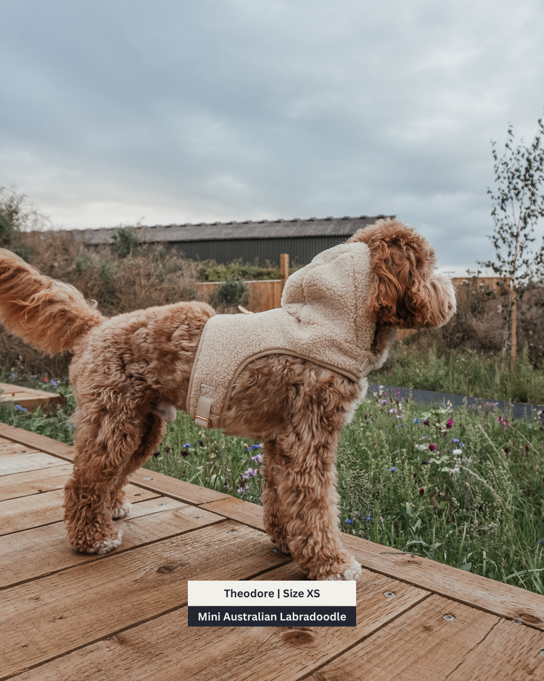 The Cosy Hoodie Harness