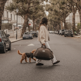 Chocolate | The Cosy Car Seat