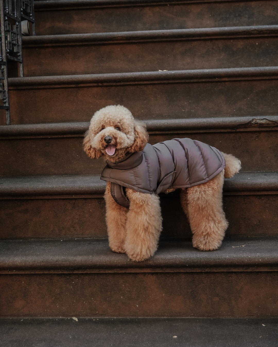 Chocolate | The Capsule Puffer Coat