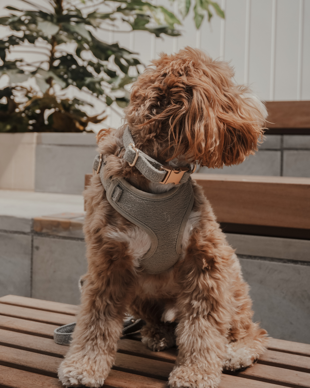 Matcha┃Bouclé Collar