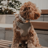 Matcha┃Bouclé Collar
