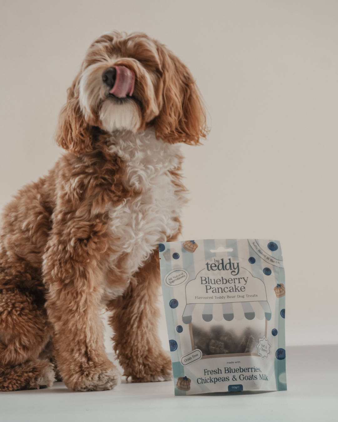 Blueberry Pancake Teddy Bear Soft Treats