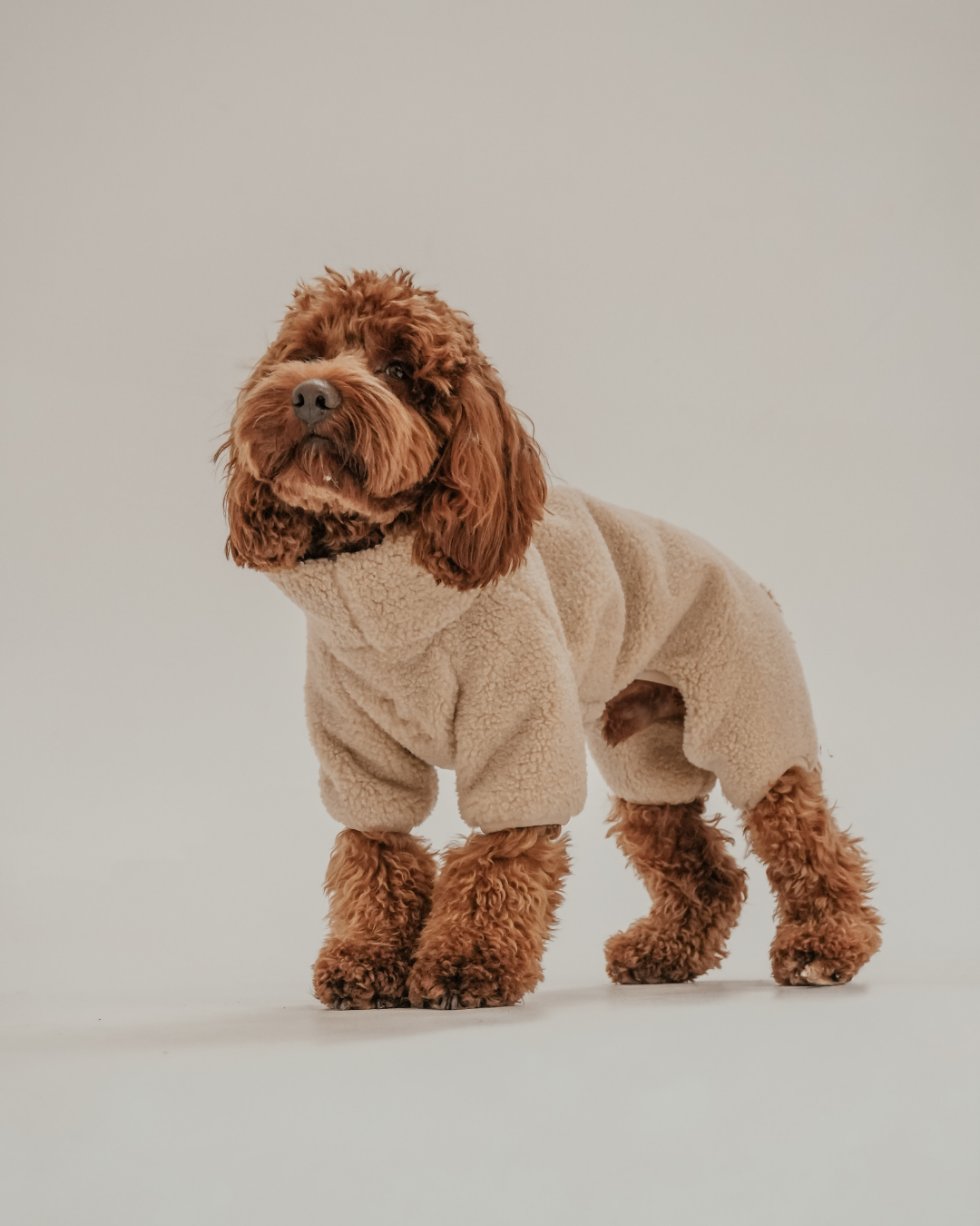 The Capsule Cosy Bodysuit