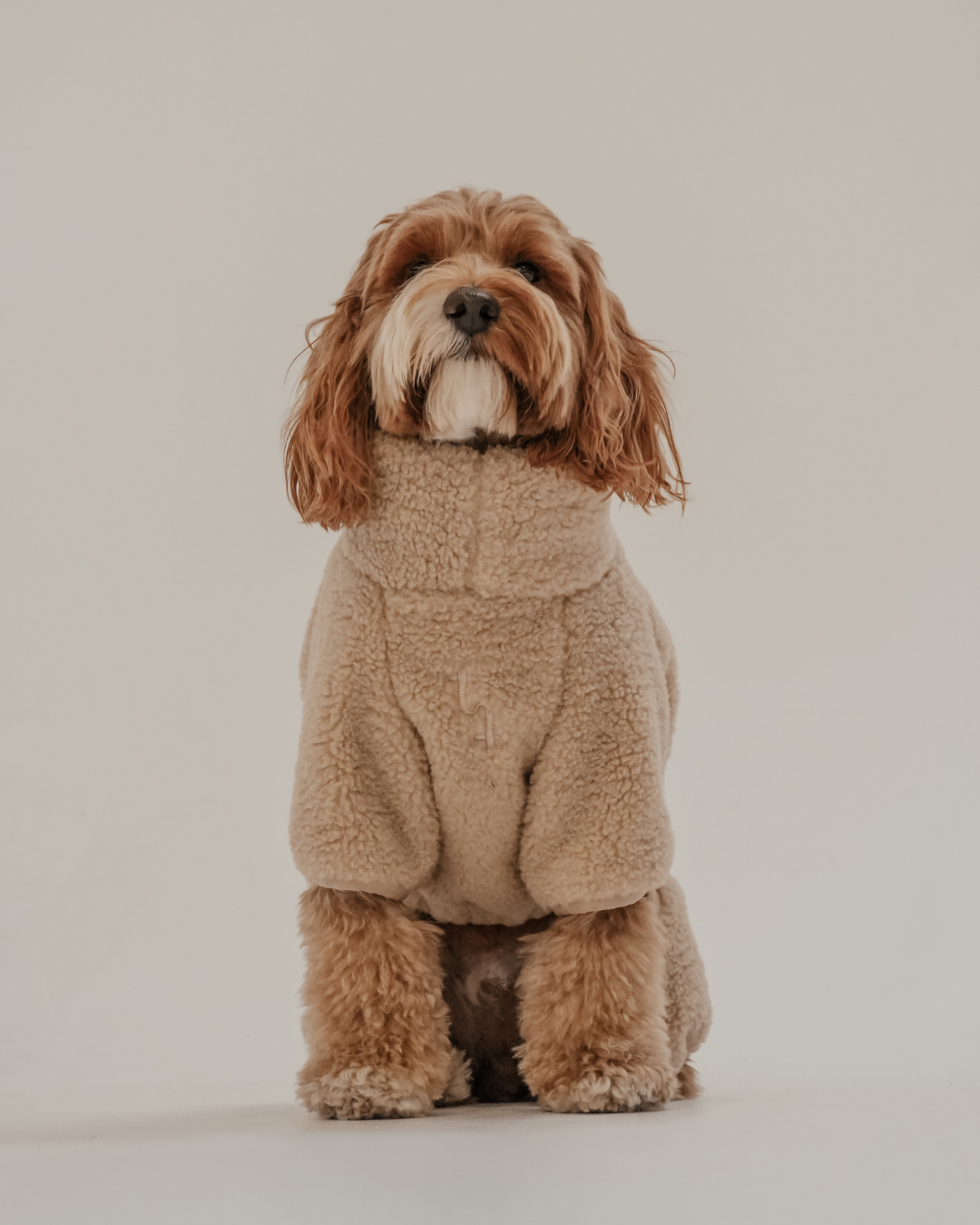 The Capsule Cosy Bodysuit