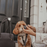 Chocolate┃Studio AirTag Holder