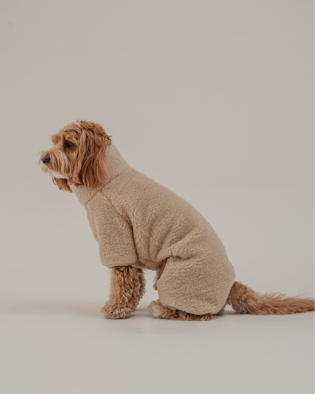 The Capsule Cosy Bodysuit