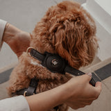 Chocolate┃Studio AirTag Holder