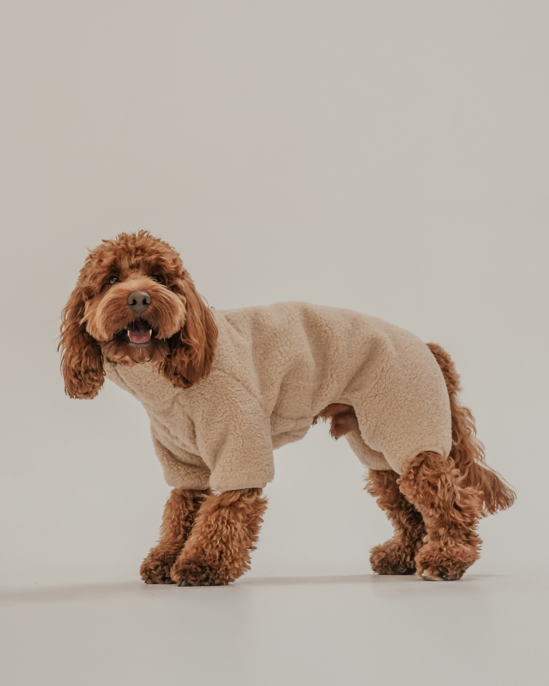 The Capsule Cosy Bodysuit