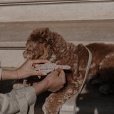 Hazelnut┃Studio AirTag Holder