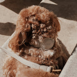 Hazelnut┃Studio AirTag Holder