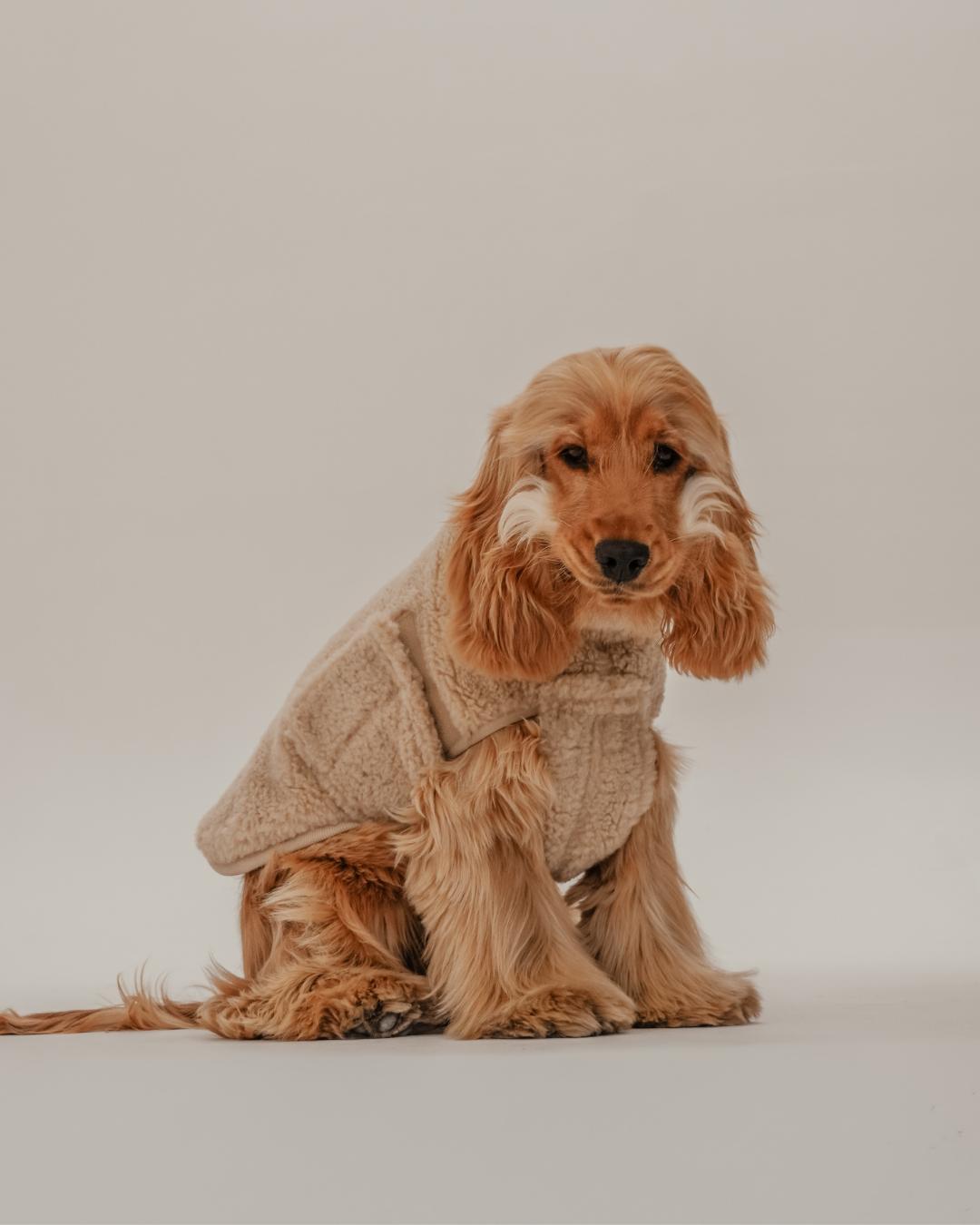 The Capsule Cosy Coat