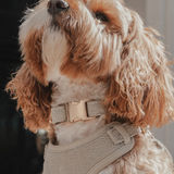 Matcha┃Bouclé Collar