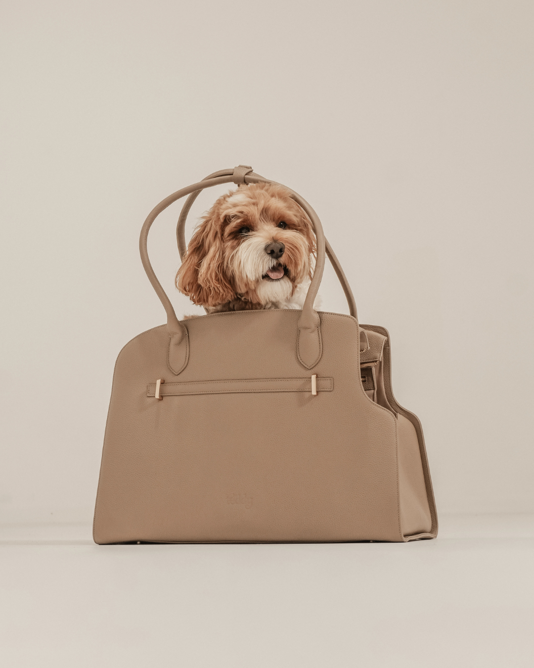 Hazelnut | The Studio Carrier