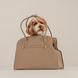 Hazelnut | The Studio Carrier