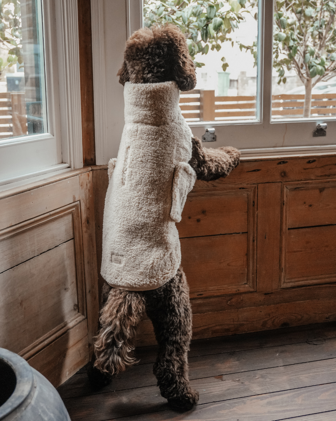 The Capsule Cosy Coat