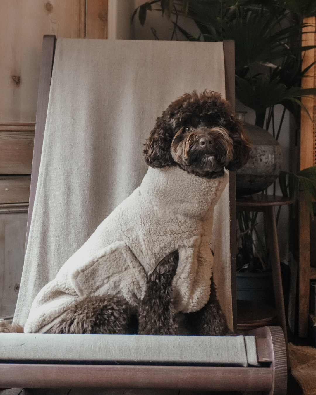 The Capsule Cosy Coat