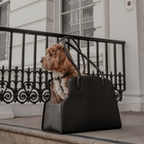 Chocolate | The Studio Carrier