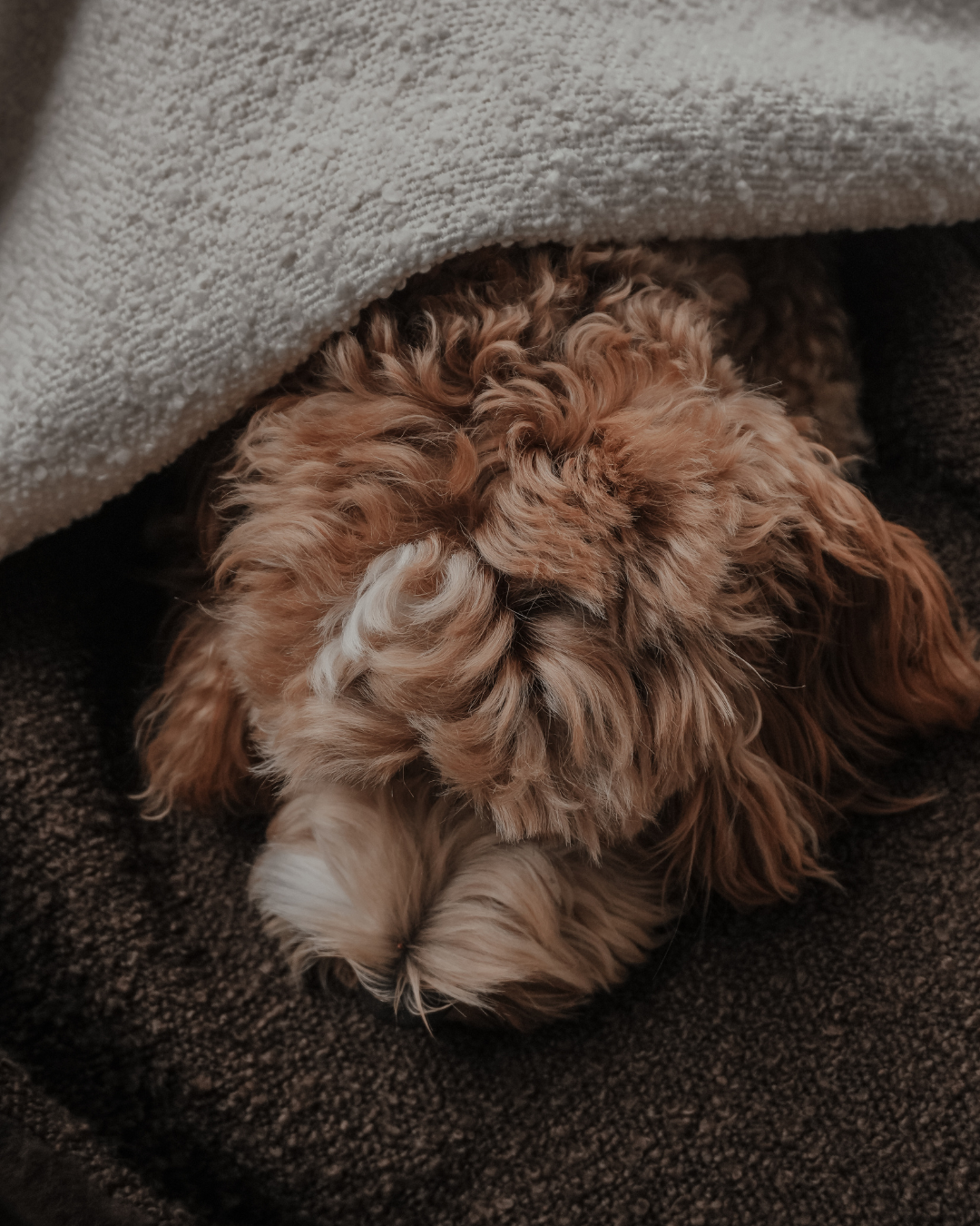 The Bouclé Blanket
