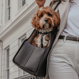 Chocolate | The Studio Carrier