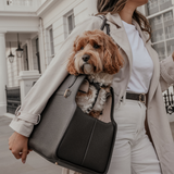 Chocolate | The Studio Carrier