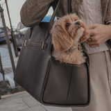 Chocolate | The Studio Carrier