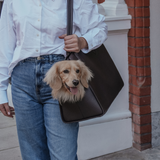 Chocolate | The Studio Carrier