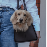 Chocolate | The Studio Carrier