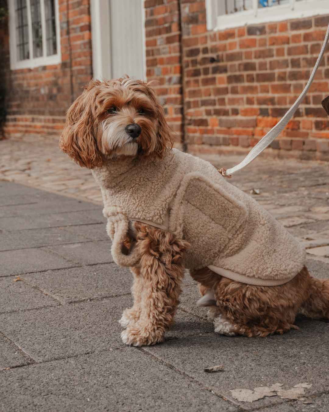 The Capsule Cosy Coat