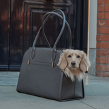 Chocolate | The Studio Carrier