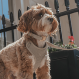 Matcha┃Bouclé Collar