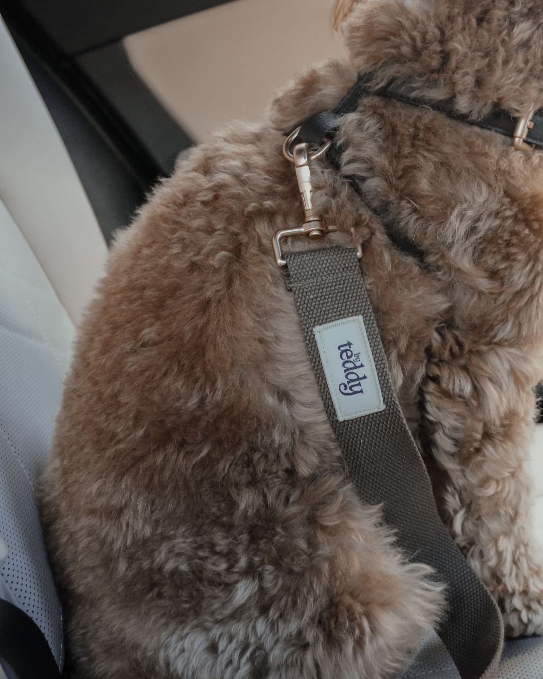 Adjustable Seat Belt Safety Clip
