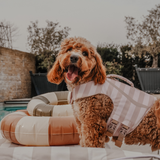 The Tide Rider Life Jacket