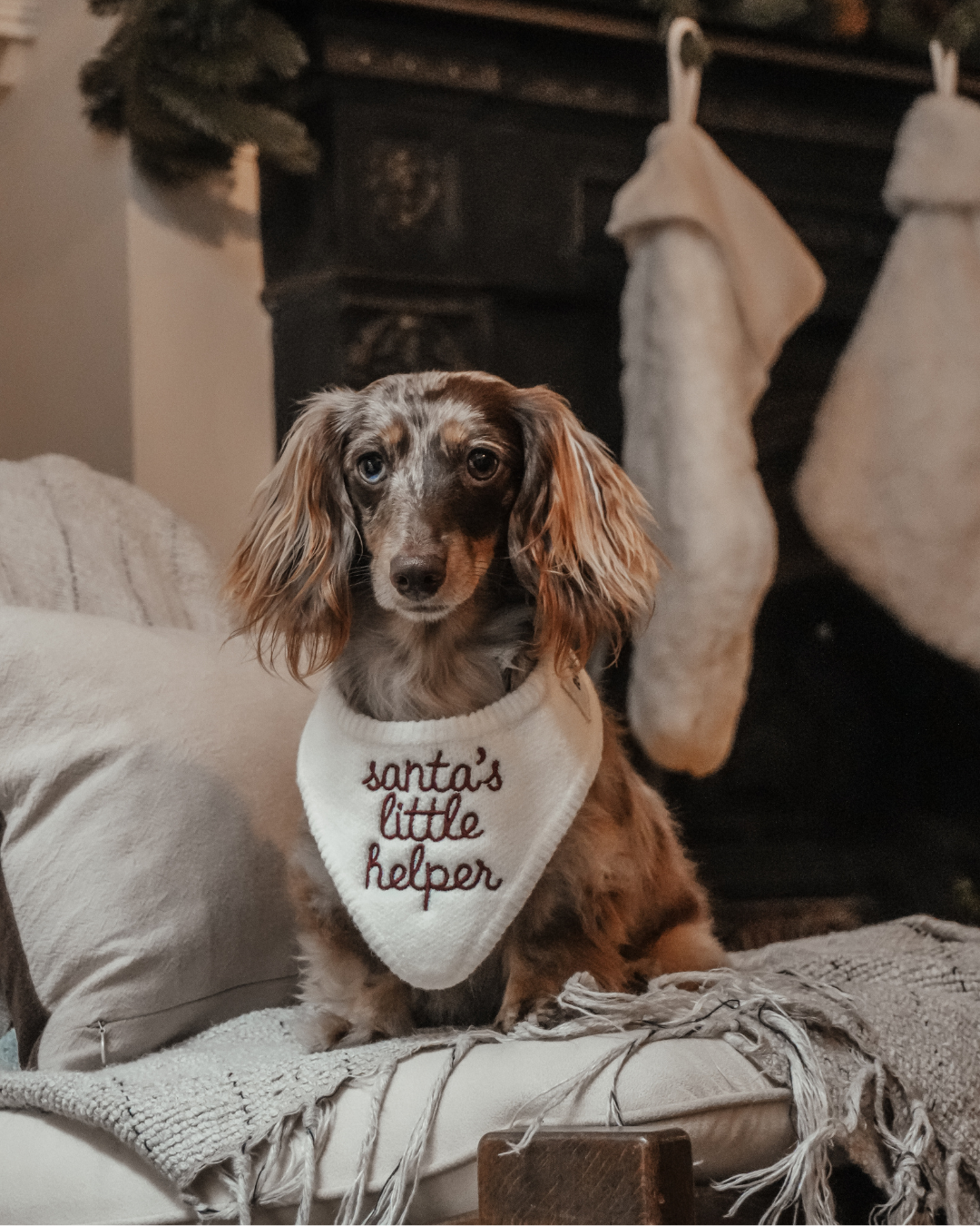 Santa's Little Helper | Knitted Bandana