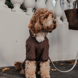 Chocolate | The Capsule Quilted Bodysuit