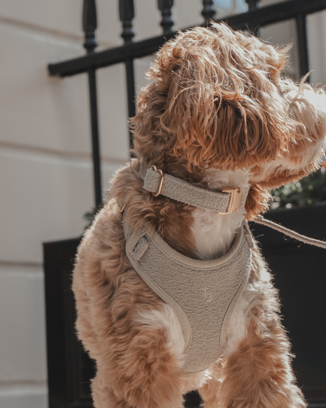 Matcha┃Bouclé Collar