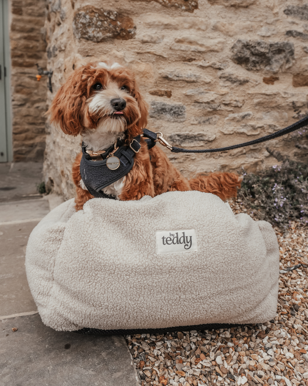 Midnight┃Bouclé Adjustable Harness