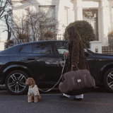 Chocolate | The Puffer Car Seat