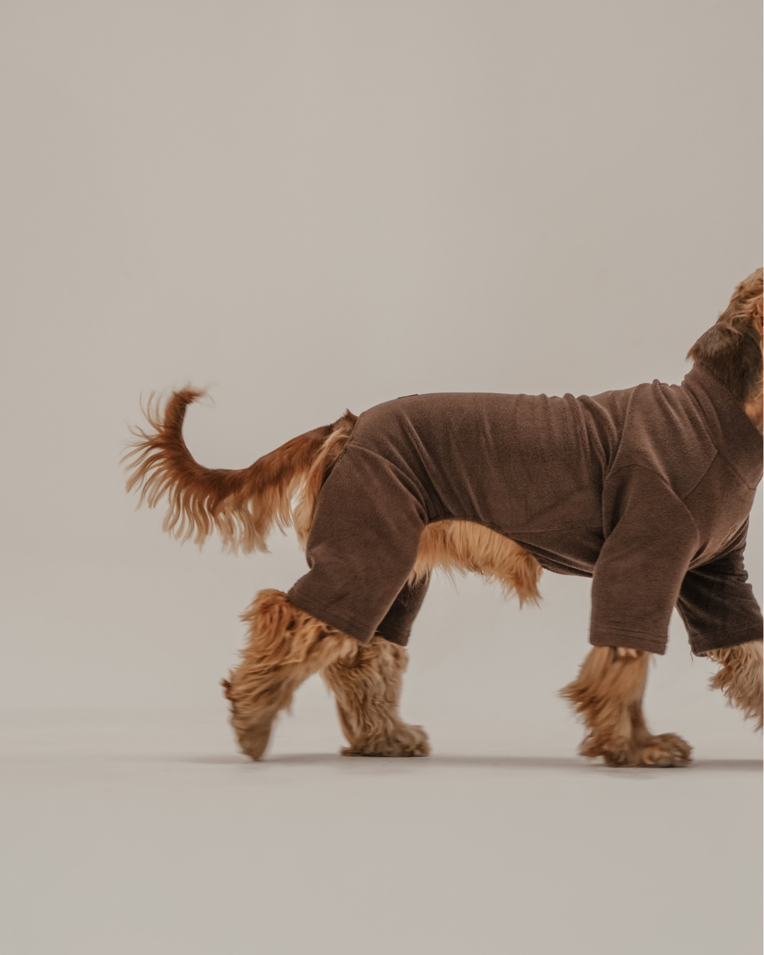 Chocolate | The Capsule Fleece Bodysuit